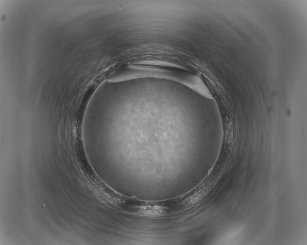 X0000087590363200704271313