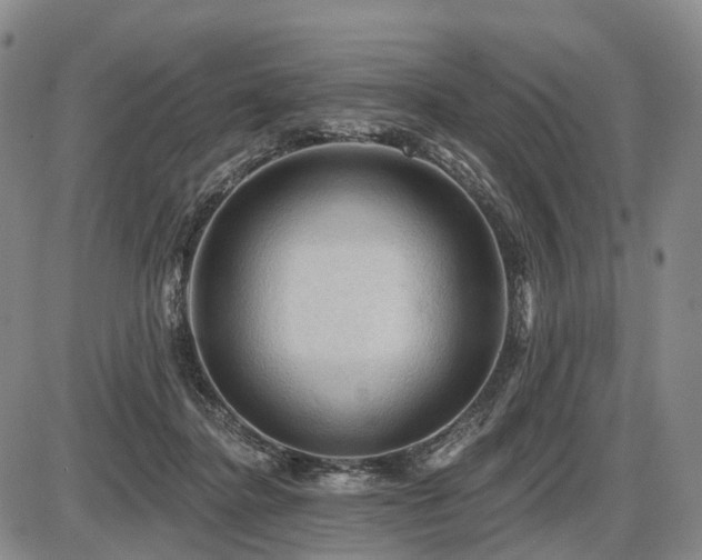 X0000087590364200704271313