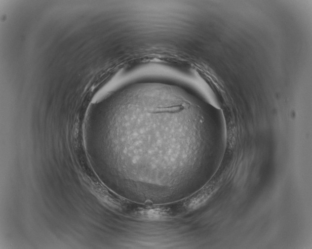 X0000087590365200704271313