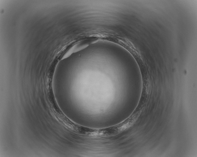 X0000087590366200704271313