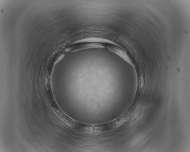 X0000087590367200704271313