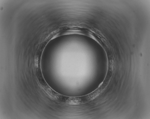 X0000087590368200704271313