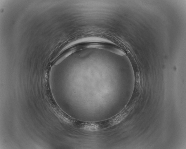 X0000087590369200704271313