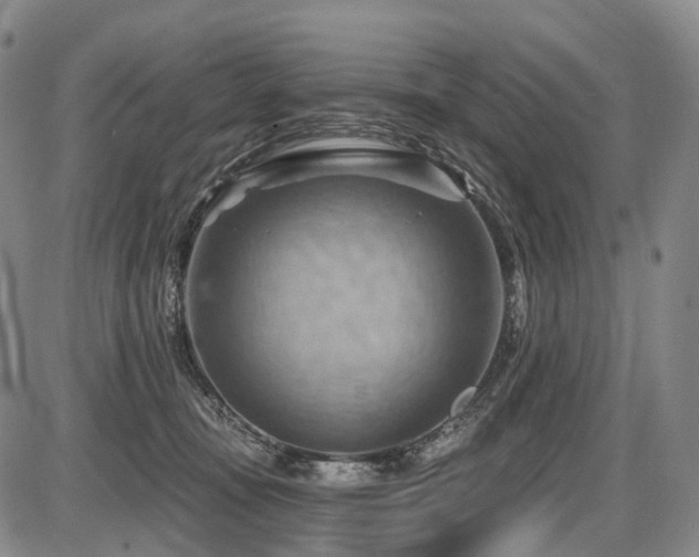 X0000087590371200704271313