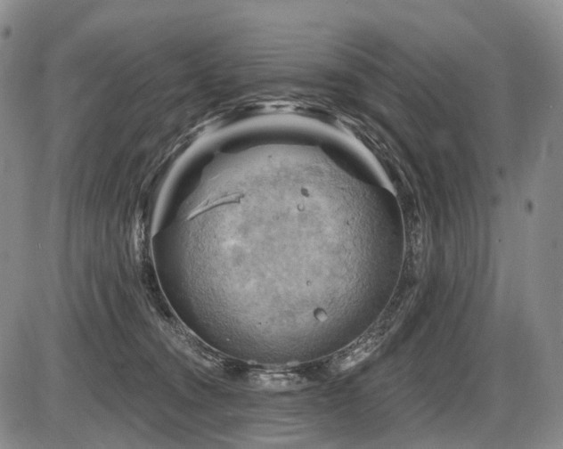 X0000087590372200704271313