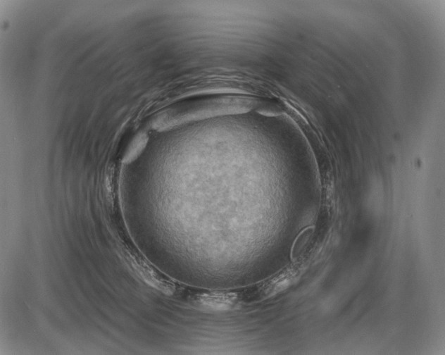 X0000087590373200704271313