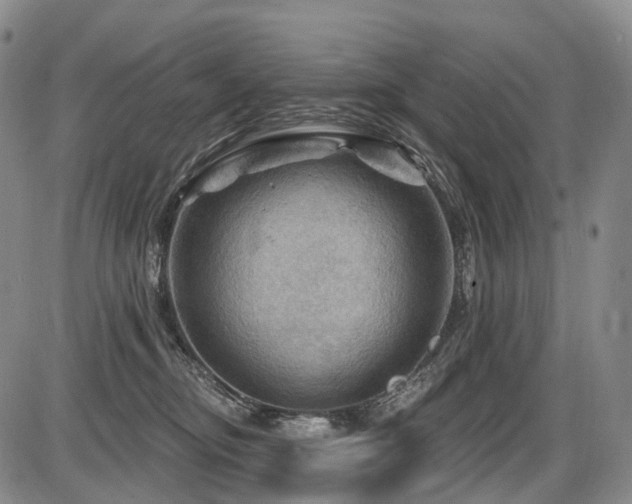 X0000087590374200704271313