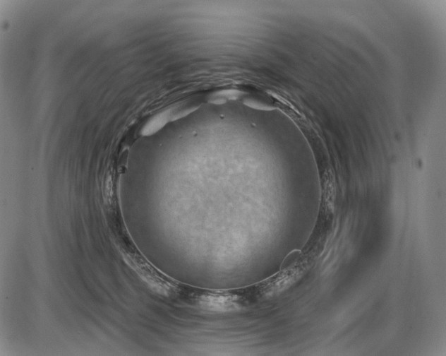 X0000087590375200704271313