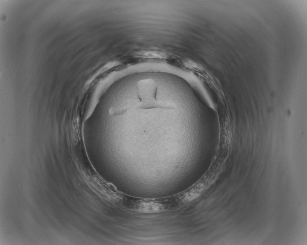 X0000087590376200704271313