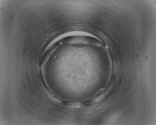 X0000087590377200704271313