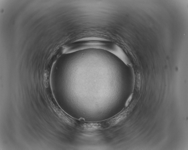 X0000087590378200704271313