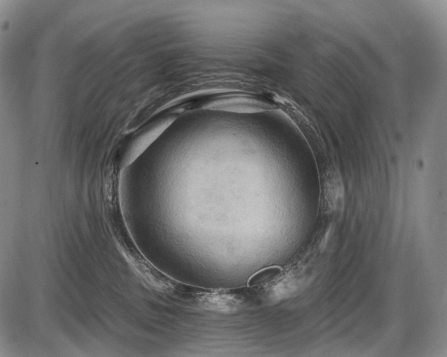 X0000087590379200704271313