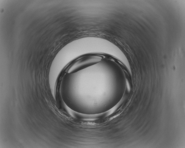 X0000087590380200704271313