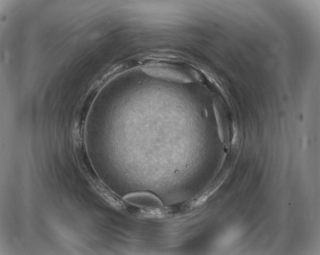 X0000087590381200704271313