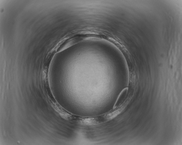 X0000087590382200704271313