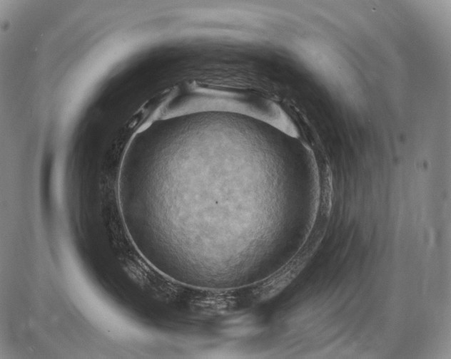 X0000087590383200704271313