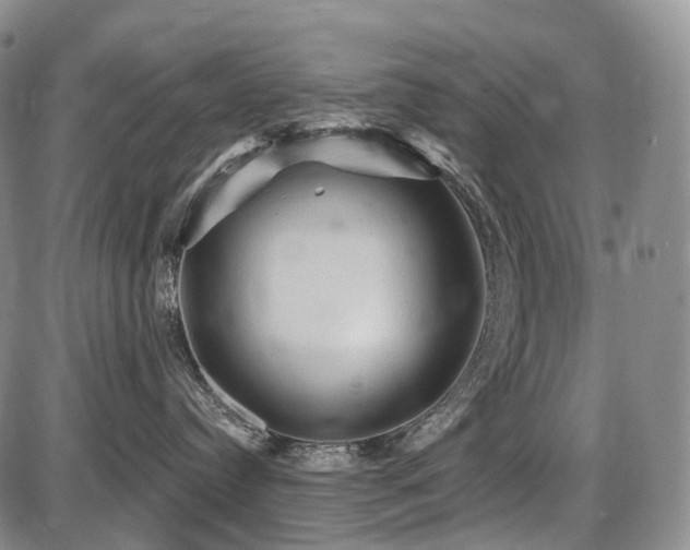 X0000087590384200704271313