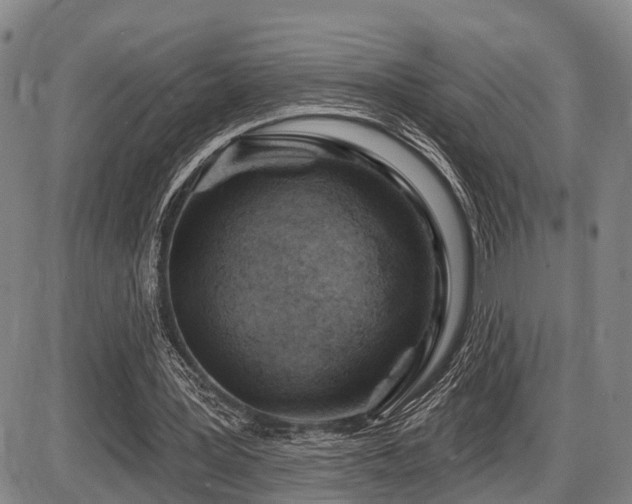 X0000087590387200704271312