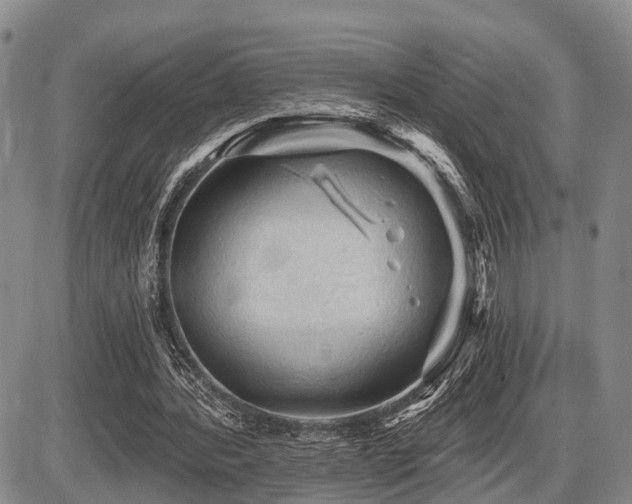 X0000087590388200704271312