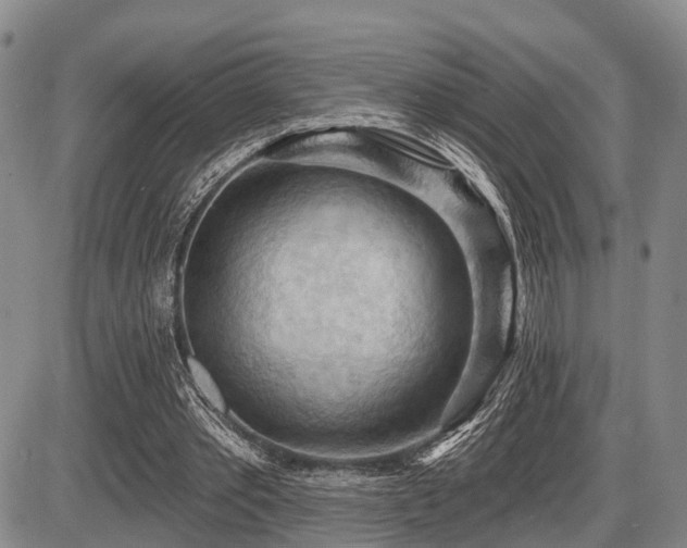 X0000087590389200704271312