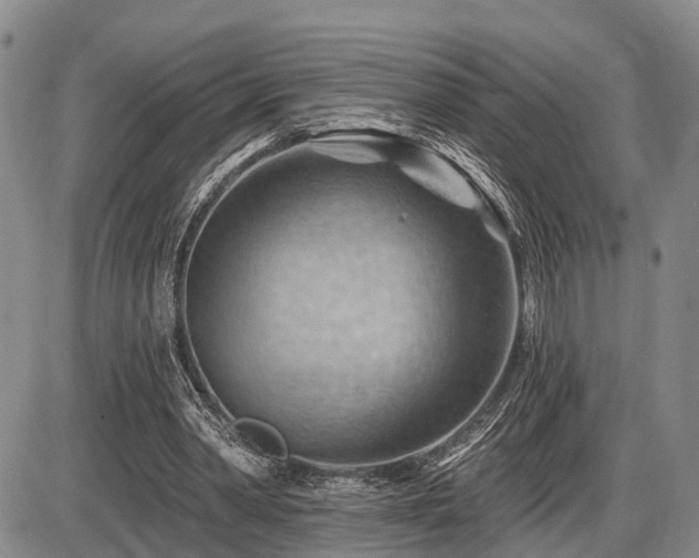 X0000087590390200704271312