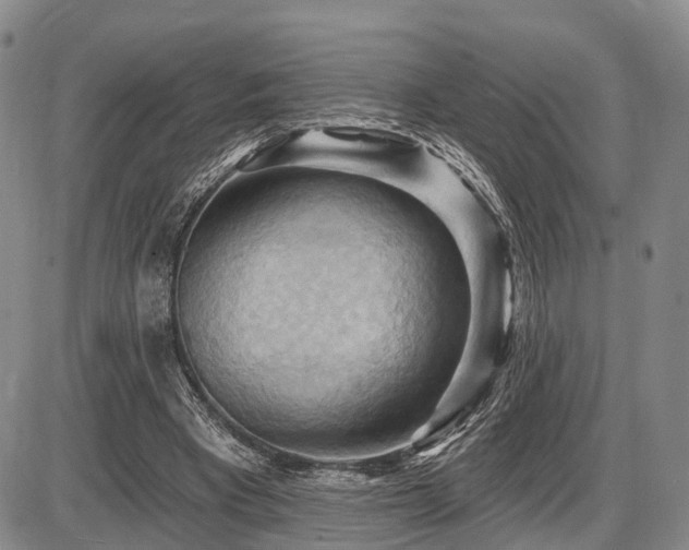 X0000087590393200704271312