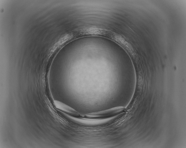 X0000087590394200704271312