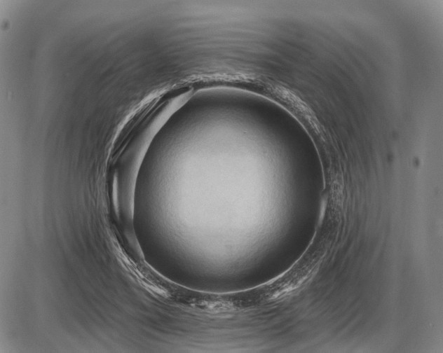 X0000087590395200704271312