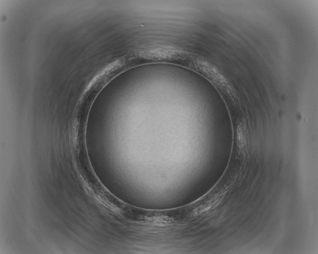 X0000087590396200704271312