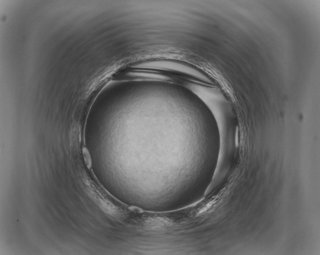 X0000087590397200704271312