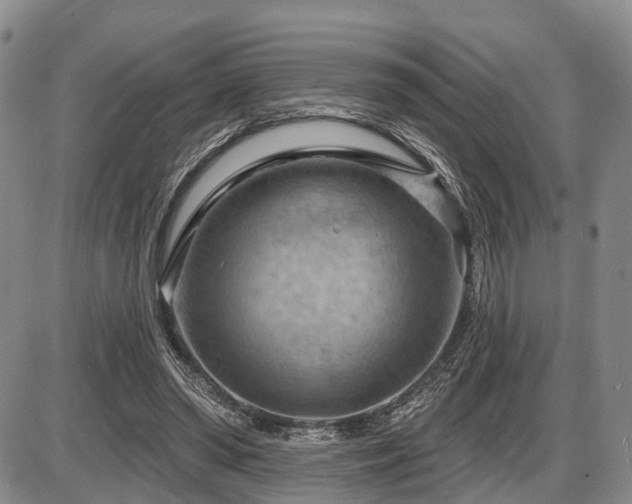 X0000087590398200704271312