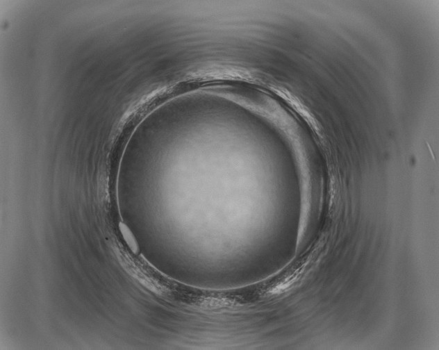 X0000087590399200704271312