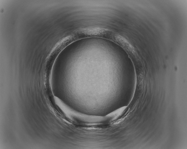 X0000087590400200704271312