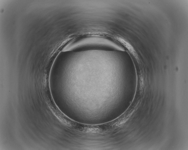 X0000087590401200704271312