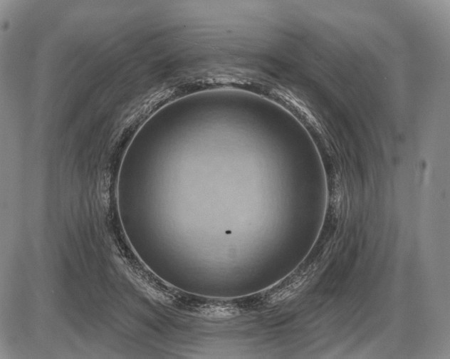 X0000087590402200704271312