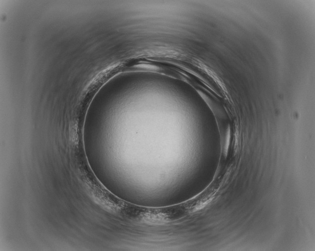 X0000087590403200704271312