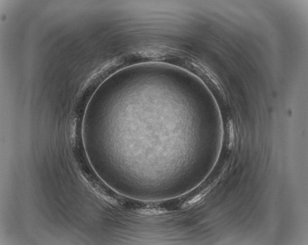 X0000087590404200704271312