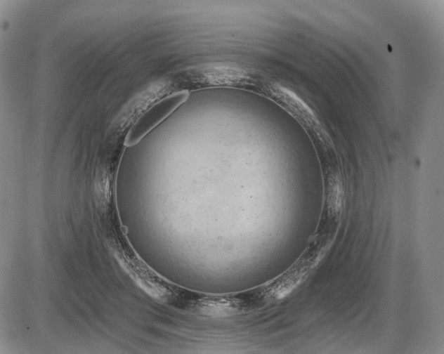 X0000087590405200704271312