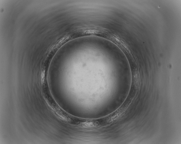 X0000087590406200704271312