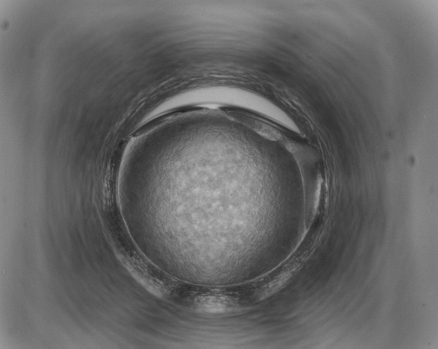 X0000087590408200704271312