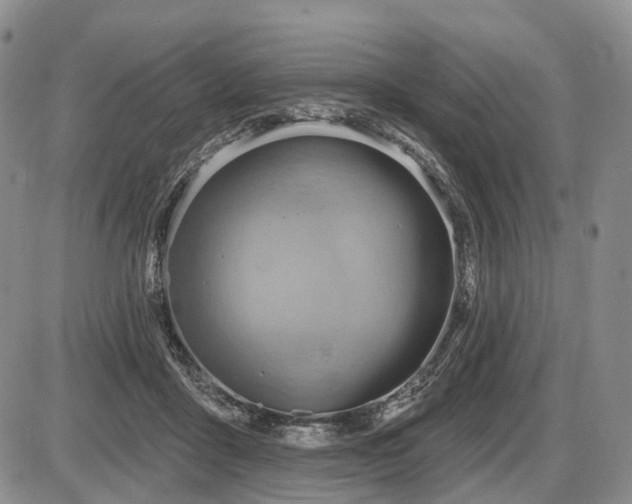 X0000087590411200704271312