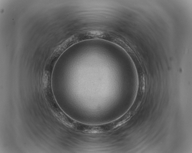 X0000087590412200704271312