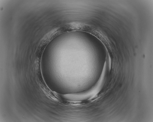 X0000087590413200704271312