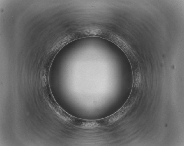 X0000087590414200704271312