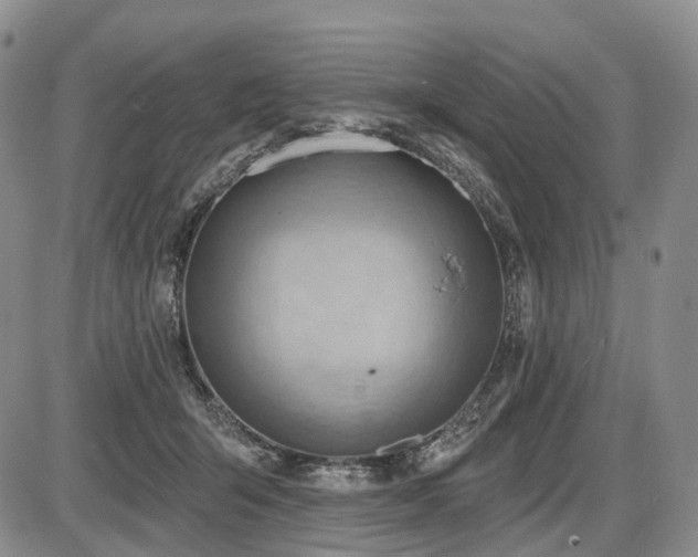 X0000087590415200704271312