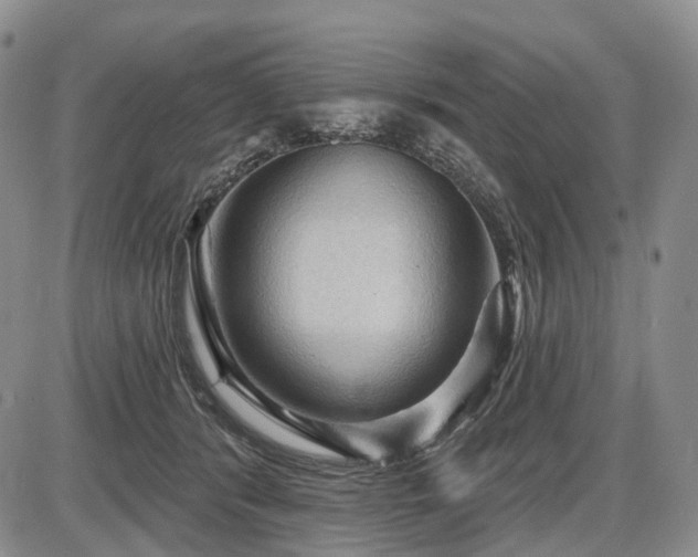 X0000087590416200704271312