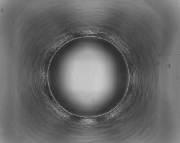 X0000087590418200704271312