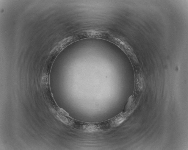 X0000087590419200704271312