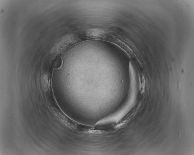 X0000087590420200704271312