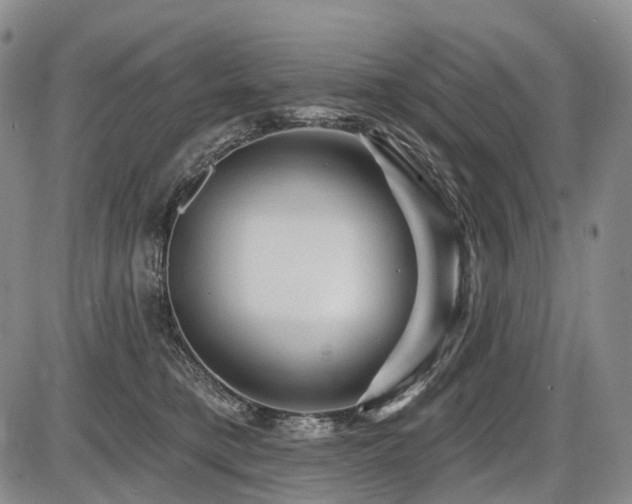 X0000087590421200704271312